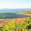 Island Lastovo